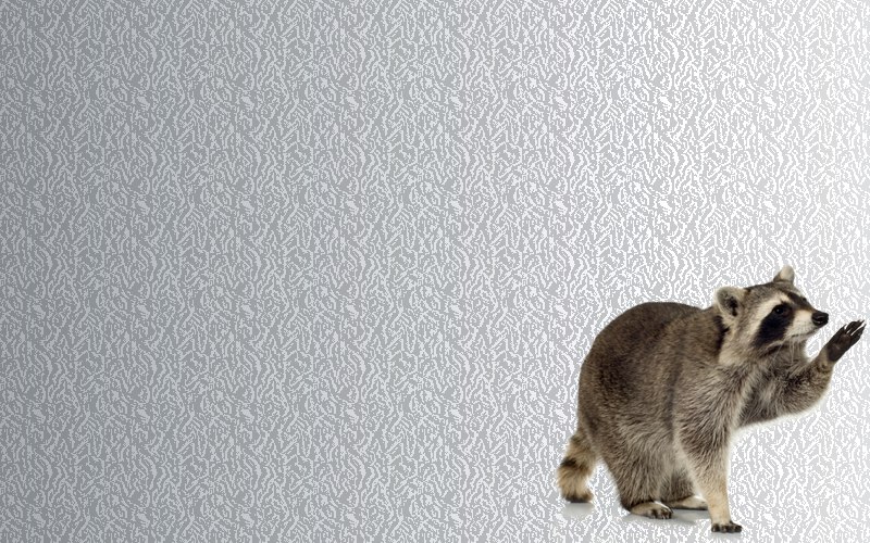 carte d'animal