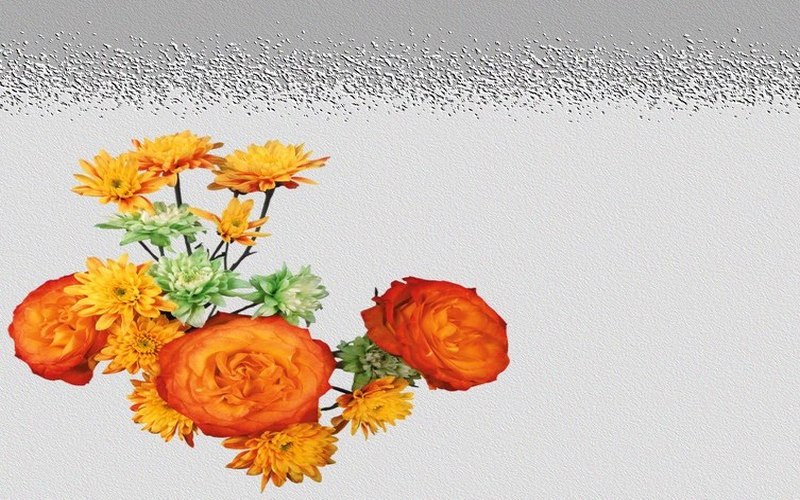 carte de fleur