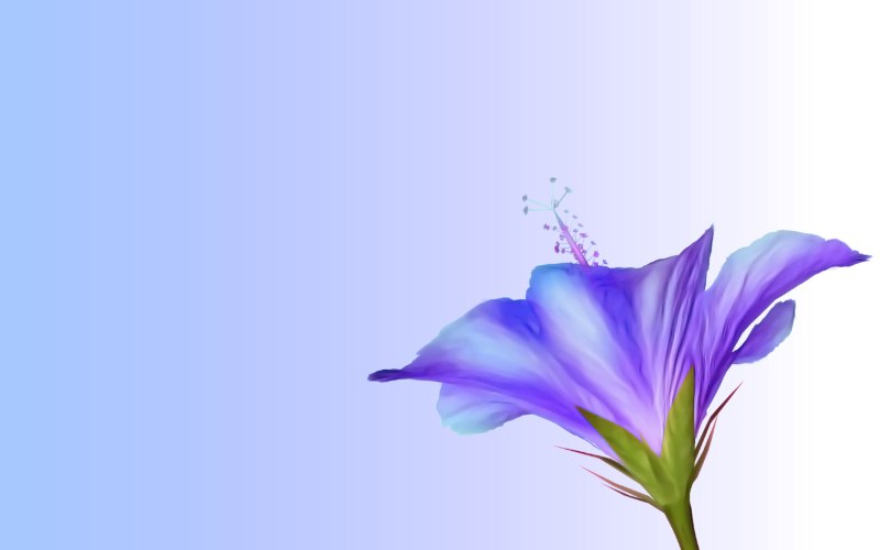 carte de fleur