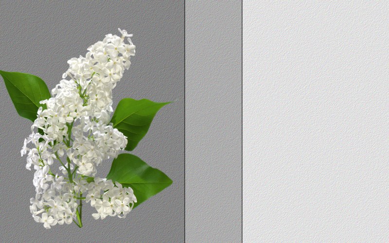 carte de fleur