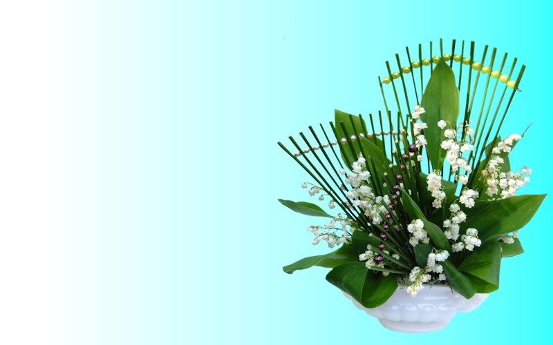 carte de fleur